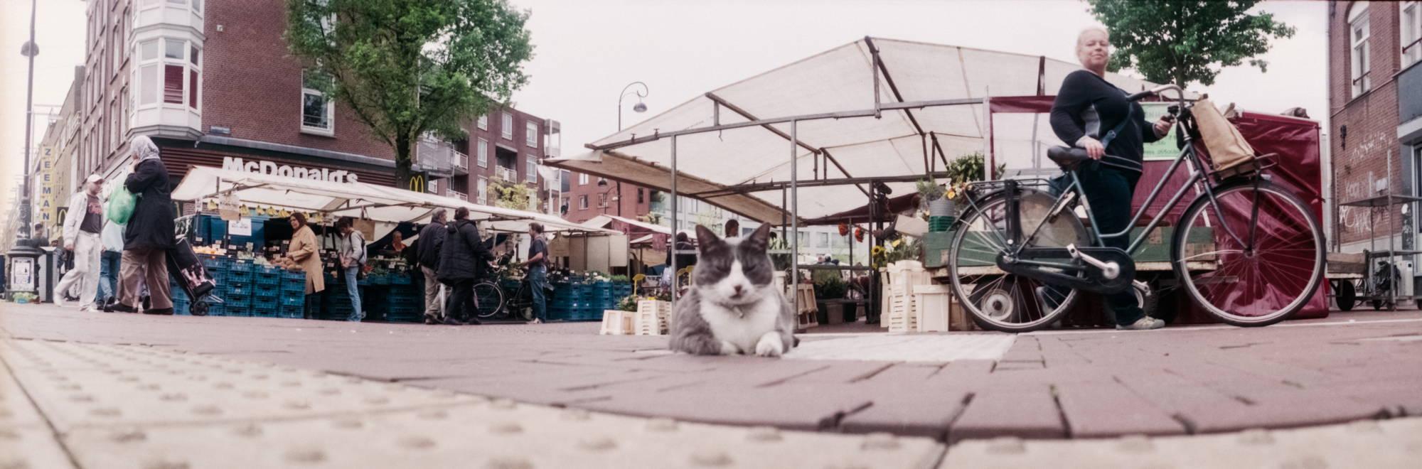 ein Panorama-Foto in der Froschperspektive aufgenommen. Im Vordergrund liegt eine weiss-graue Katze auf dem Pflaster eines Bürgersteig und stellt sich schlafend. Im Hintergrund sieht man Marktstände und rechts im Bild eine Frau mit einem Fahrrad, die mich offenbar misstrauisch beobachtet