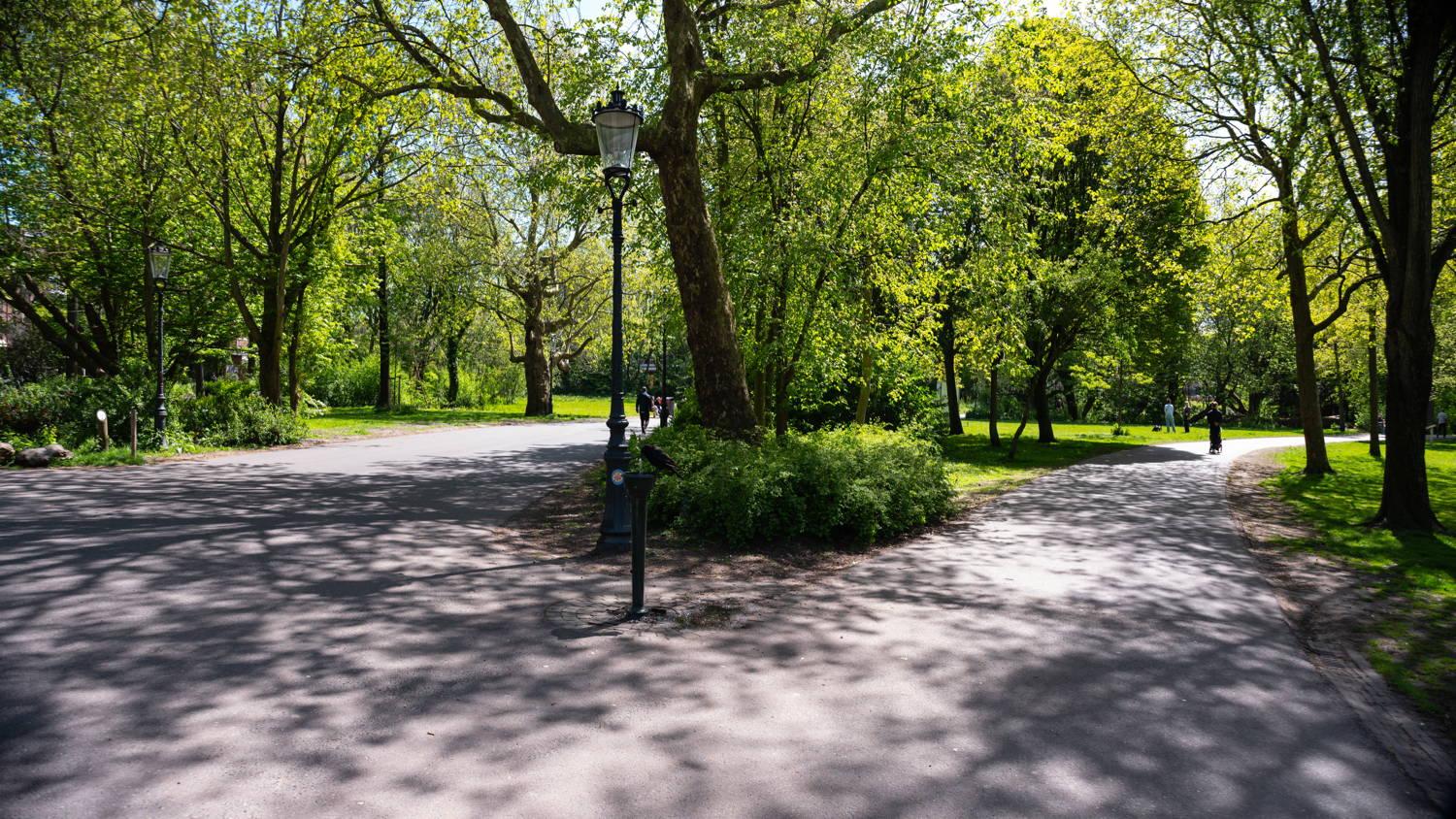 eine Wegekreuzung in einer Parkanlage. Die Bäume sind von frischem Grün überzogen. In der Gabelung steht ein Trinkbrunnen, von dem gerade eine Krähe trinkt